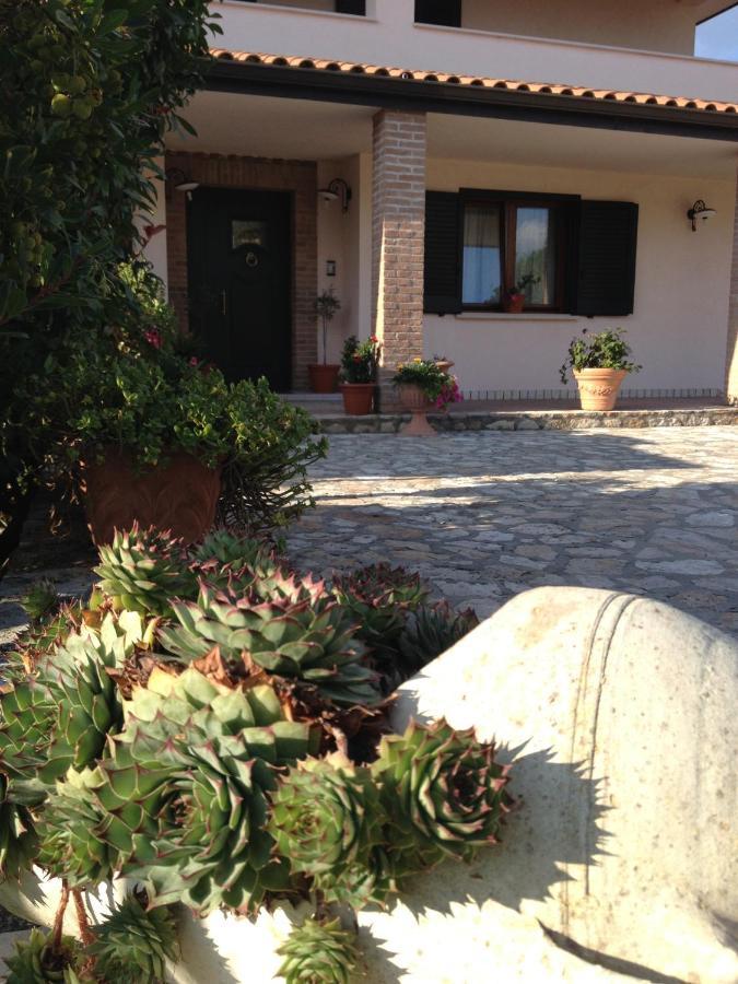Cherry House Bed&Breakfast Campobasso Exterior foto